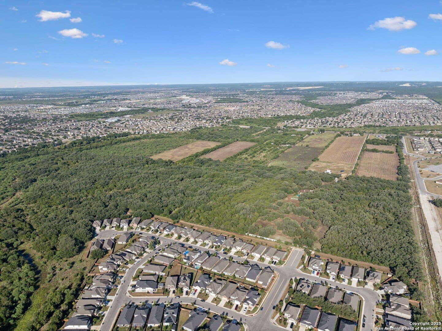 24.2 acres in Bexar County gallery image 3