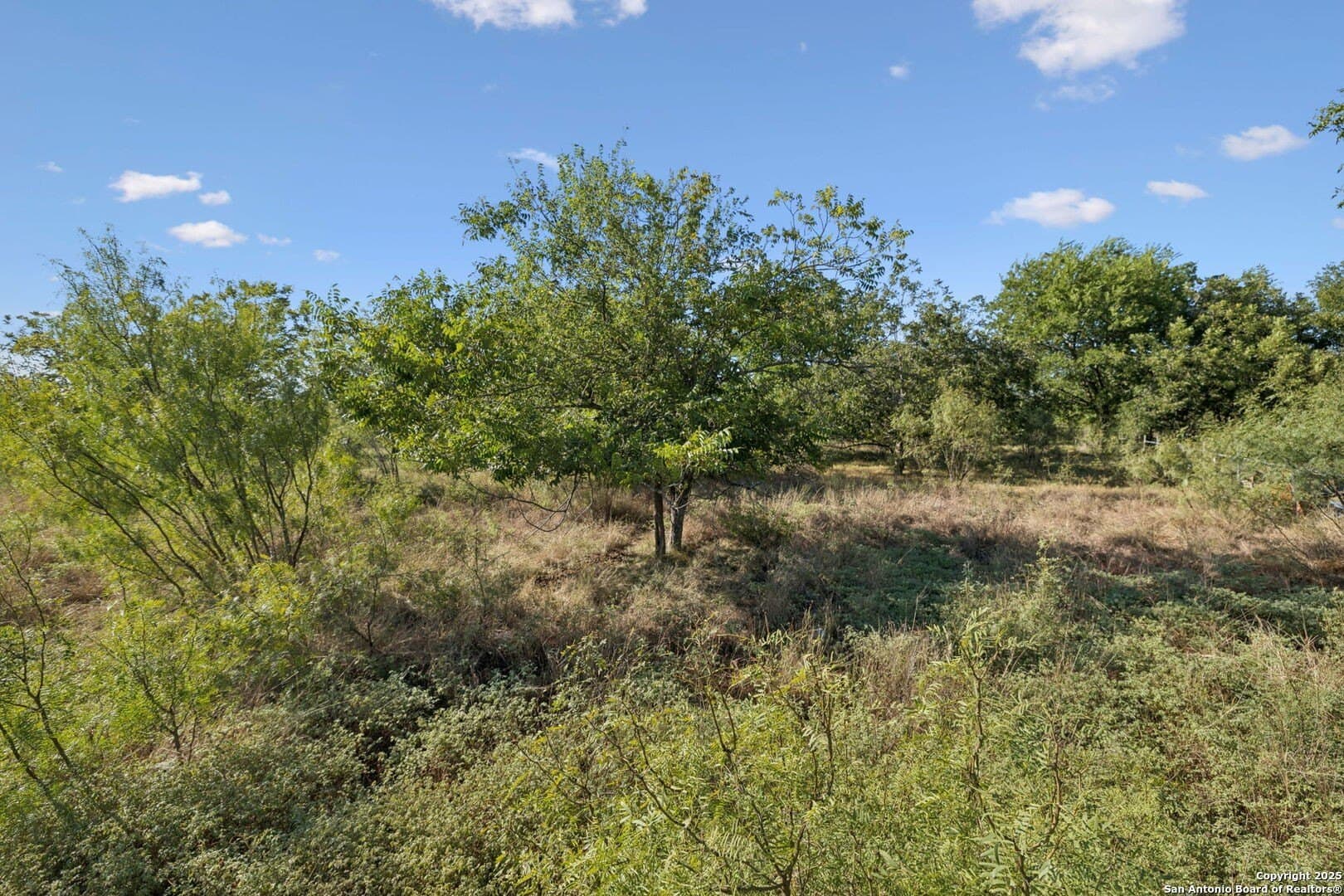 24.2 acres in Bexar County - photo 30
