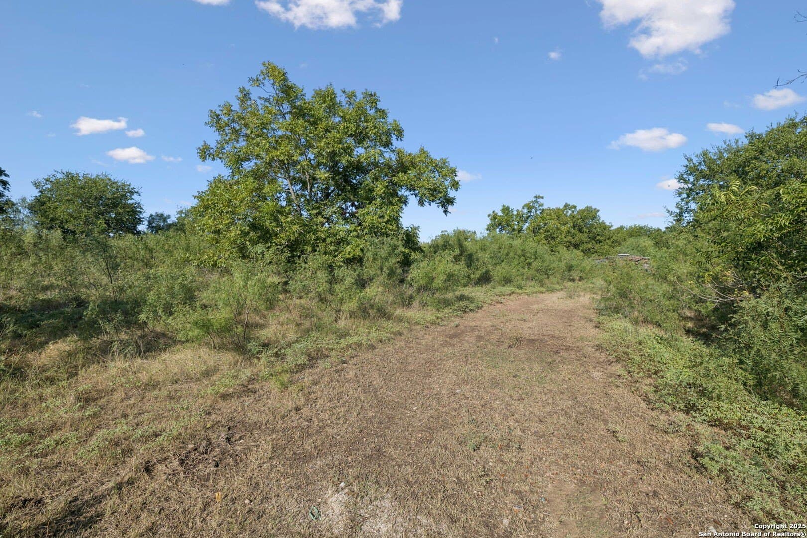 24.2 acres in Bexar County - photo 27