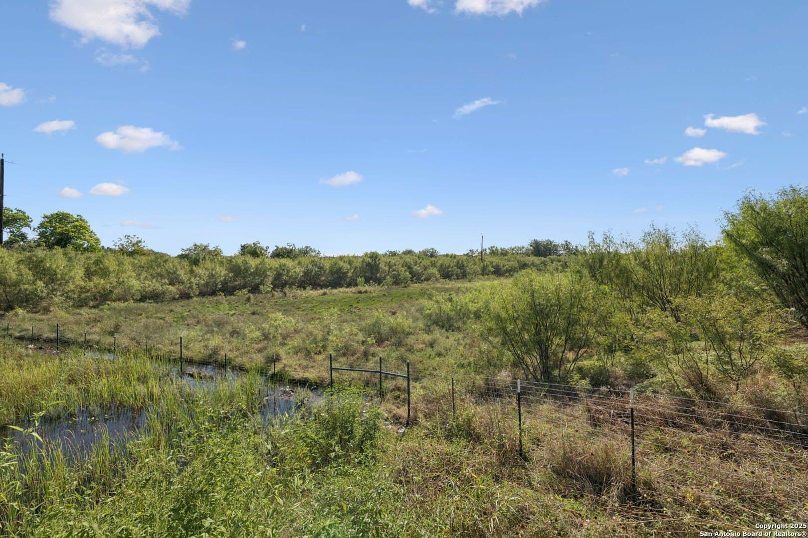 24.2 acres in Bexar County - photo 31