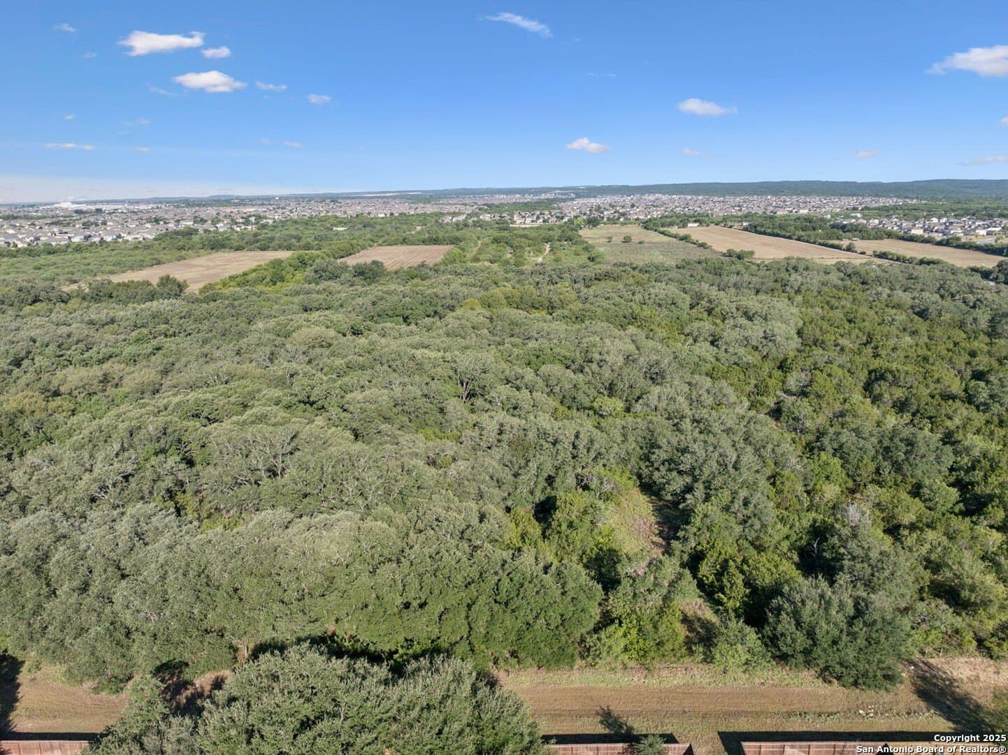 24.2 acres in Bexar County - photo 43