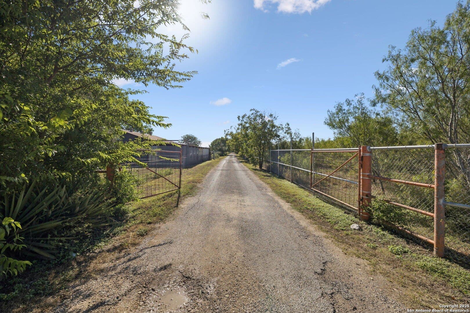 24.2 acres in Bexar County - photo 16