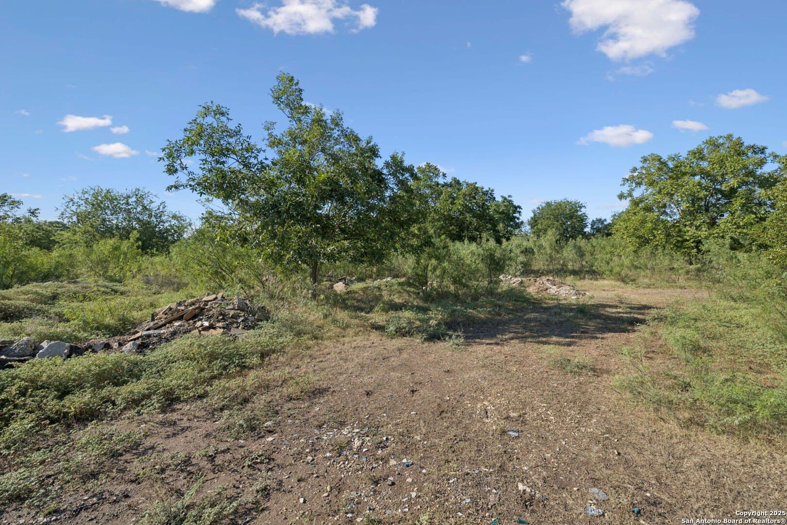 24.2 acres in Bexar County - photo 32
