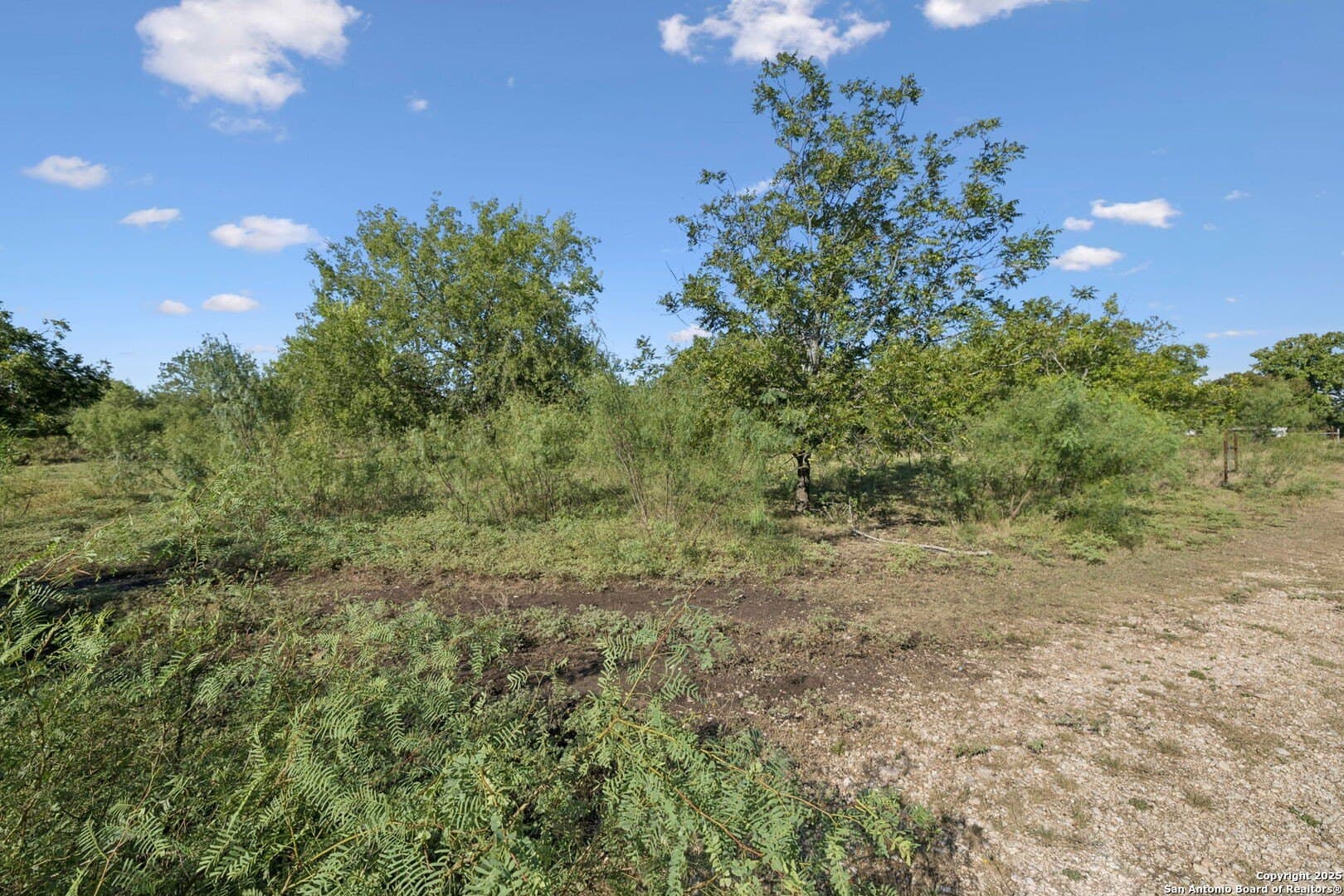 24.2 acres in Bexar County - photo 33