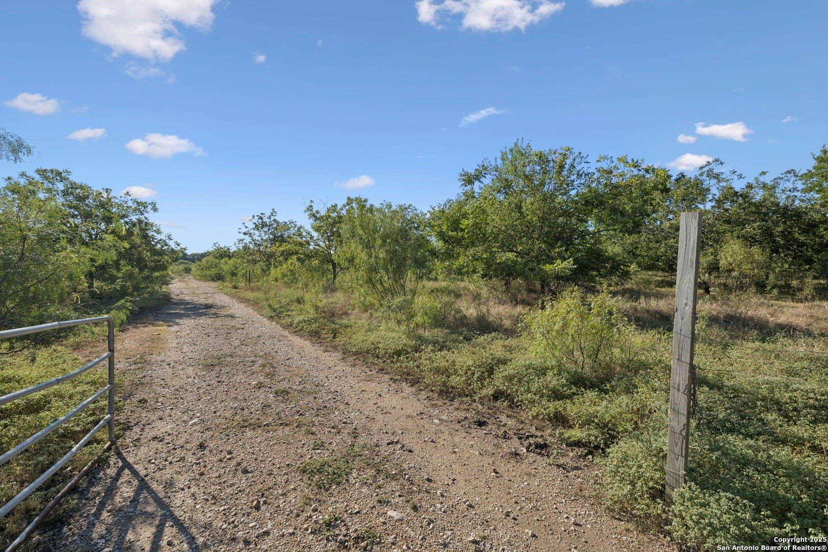 24.2 acres in Bexar County - photo 21