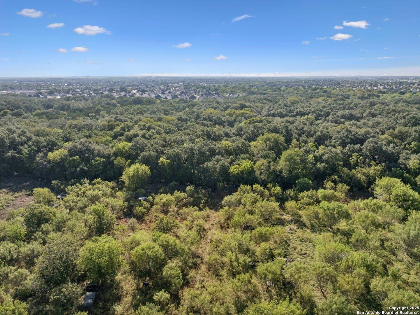 24.2 acres in Bexar County - photo 40