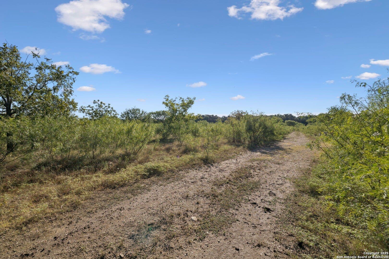 24.2 acres in Bexar County - photo 24