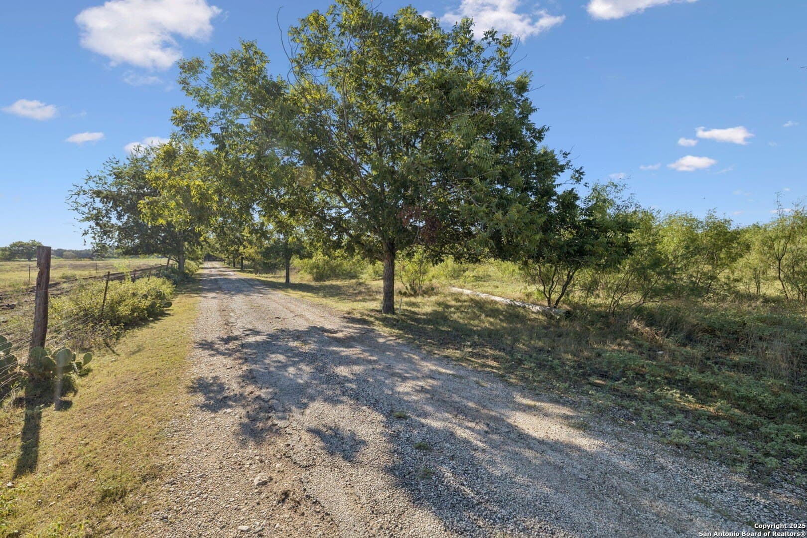 24.2 acres in Bexar County - photo 17