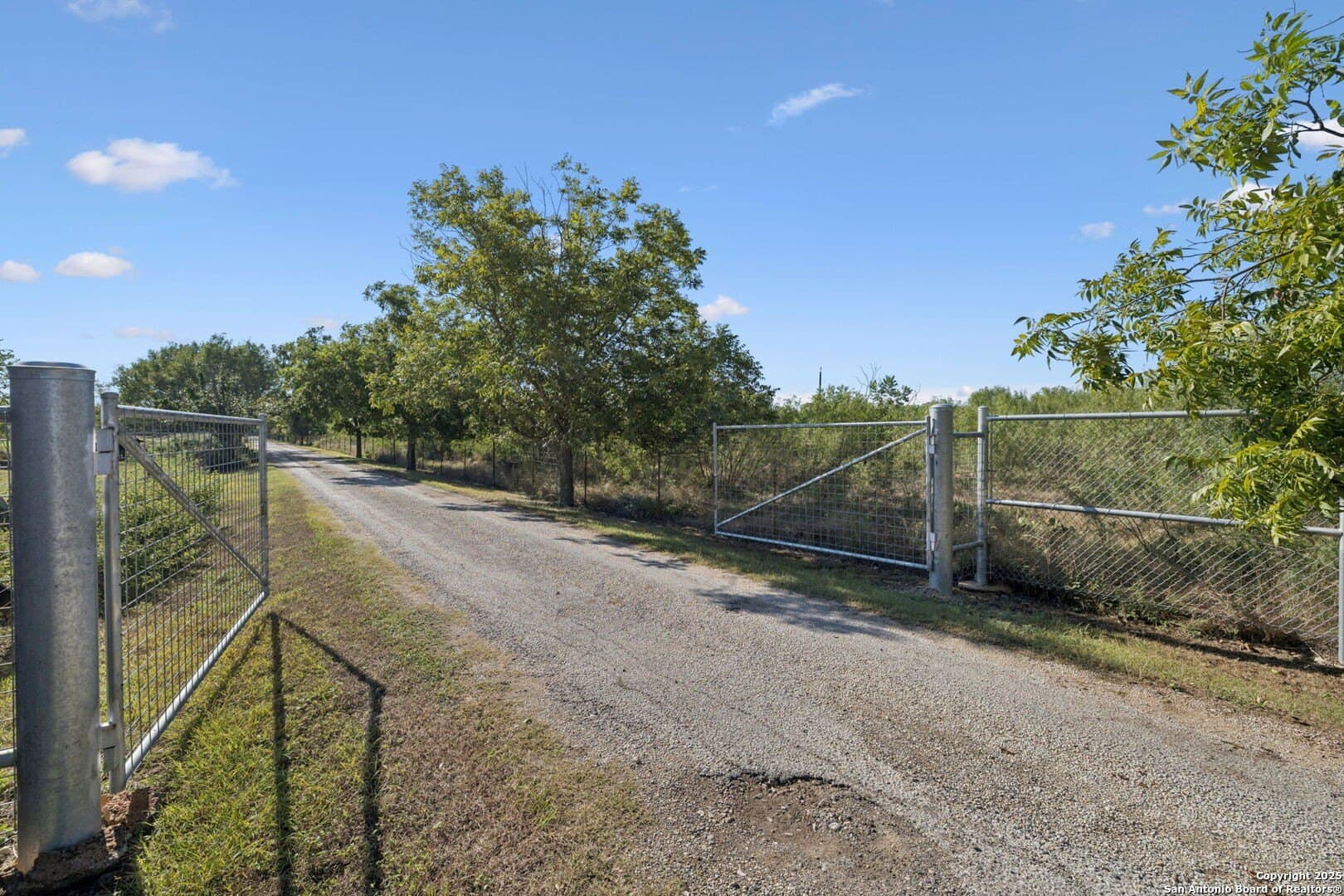 24.2 acres in Bexar County - photo 15