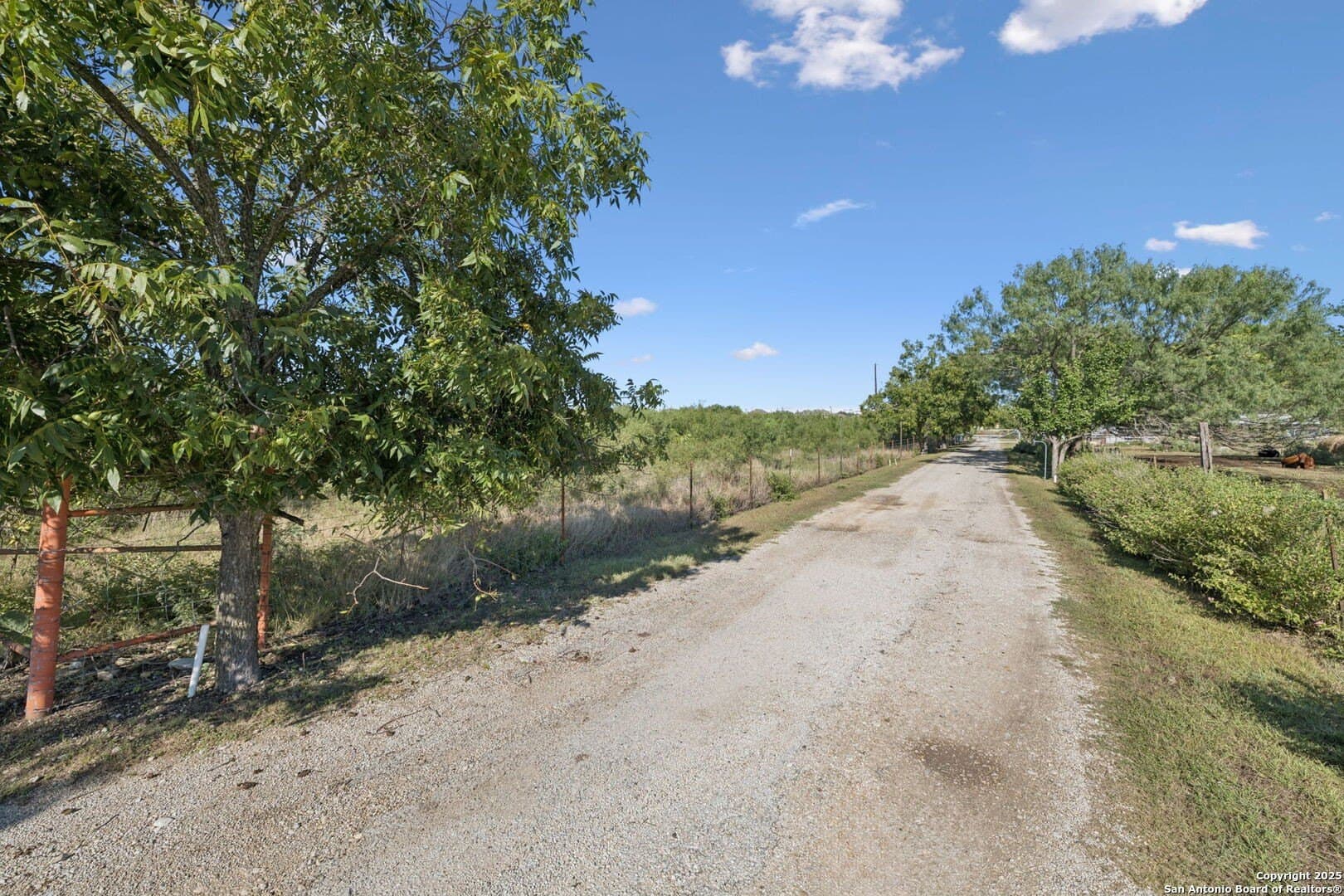 24.2 acres in Bexar County - photo 22