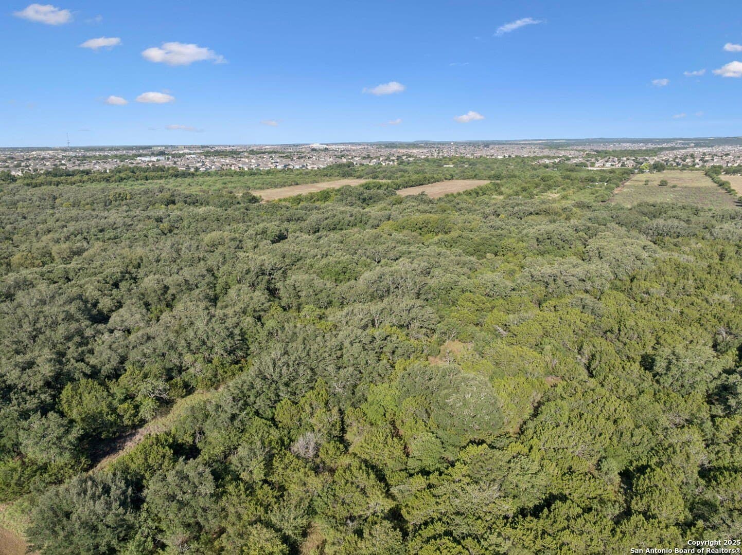 24.2 acres in Bexar County - photo 44