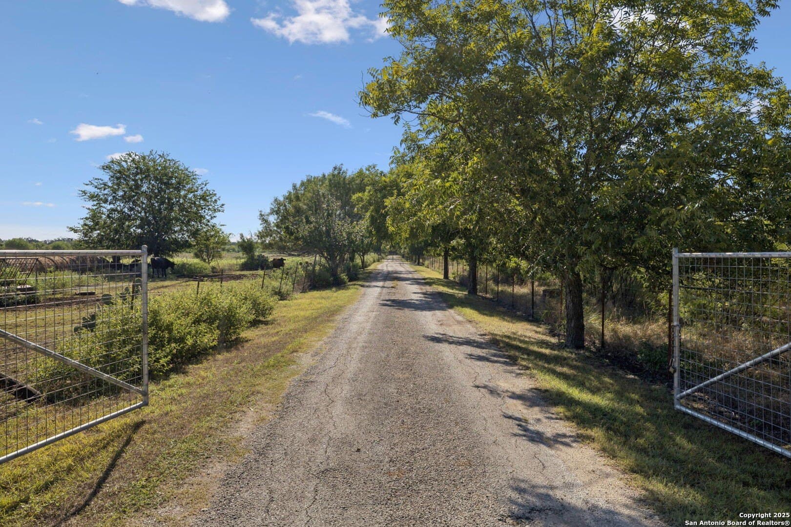 24.2 acres in Bexar County - photo 19
