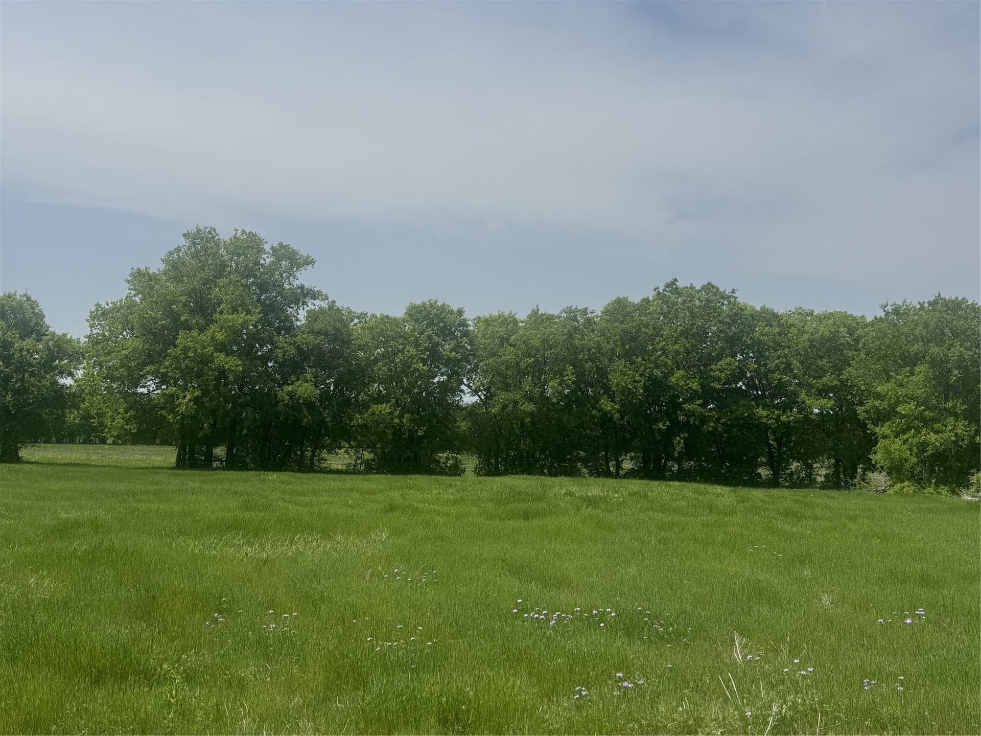 10.11 acres in Wise County - photo 5