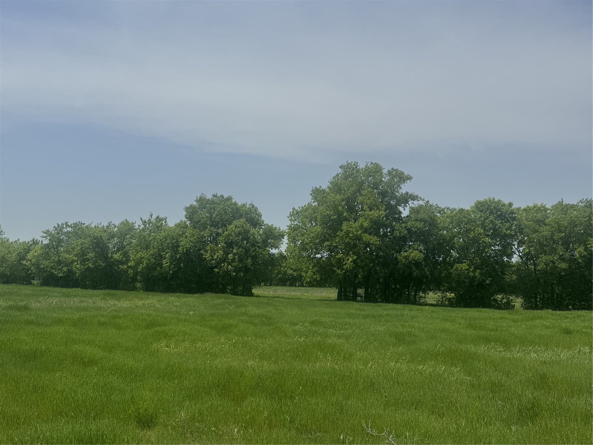 10.11 acres in Wise County - photo 6