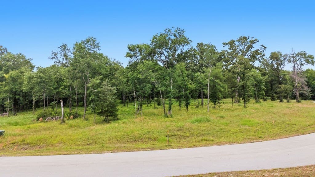 9.35 acres in ANDERSON County gallery image 4