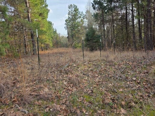 7.85 acres in Rusk County gallery image 3
