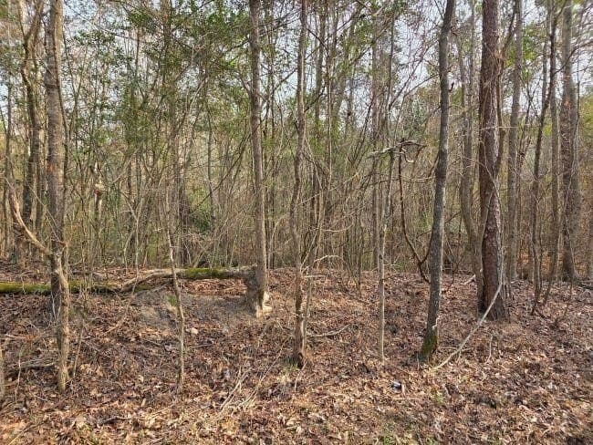 7.85 acres in Rusk County featured view