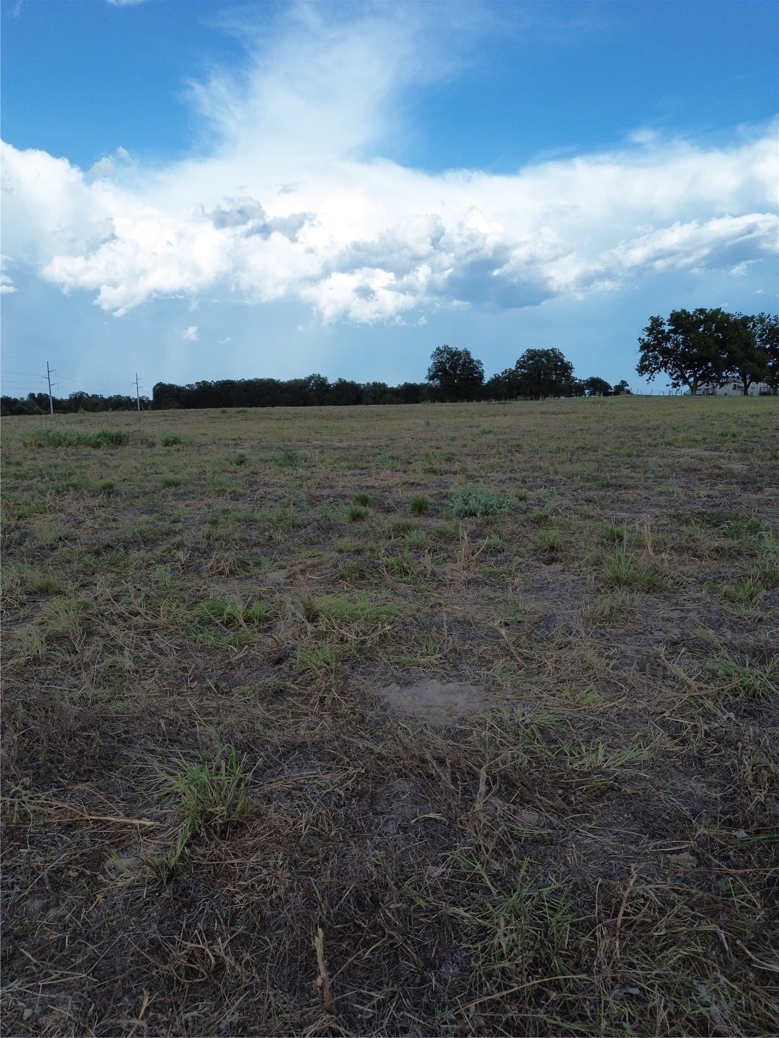 2.99 acres in Robertson County - photo 3