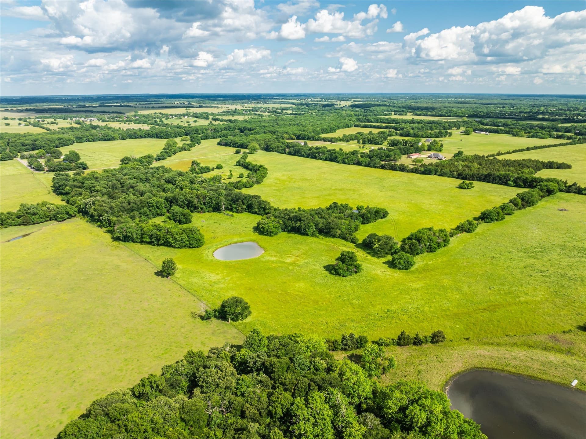 41.09 acres in Lamar County - photo 7
