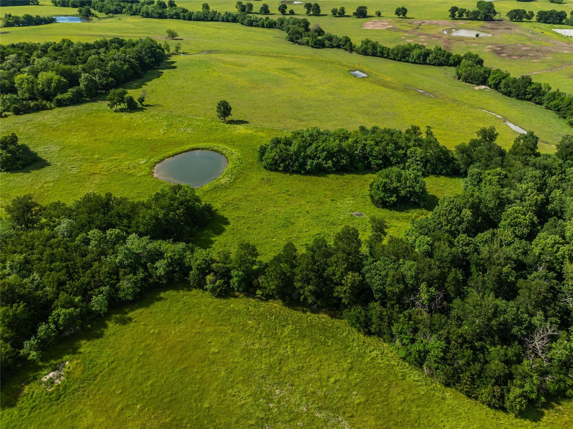 41.09 acres in Lamar County - photo 13