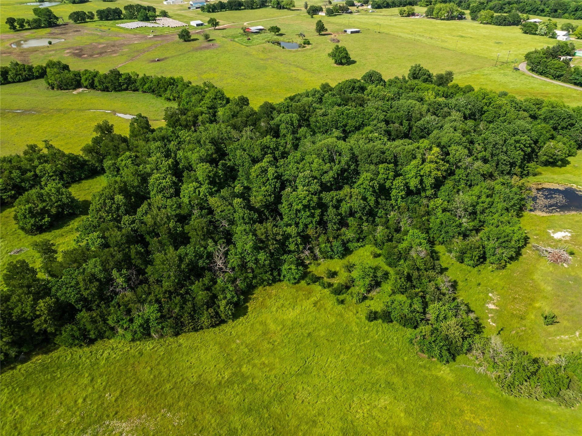 41.09 acres in Lamar County - photo 12