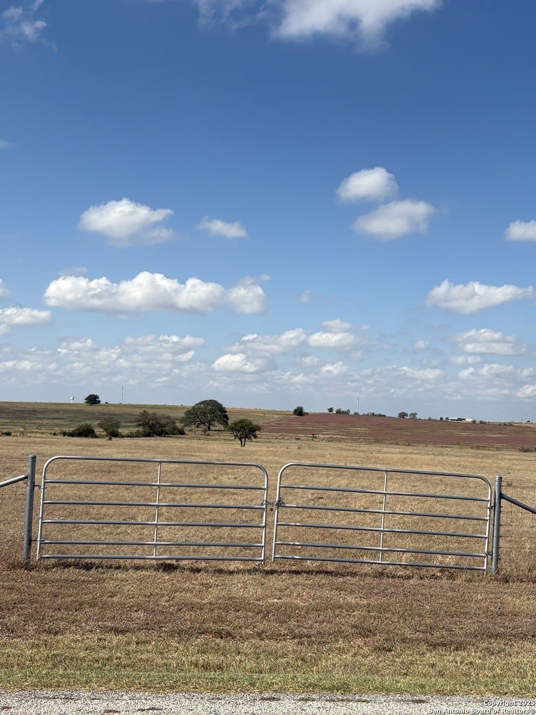 20.03 acres in Guadalupe County gallery image 4
