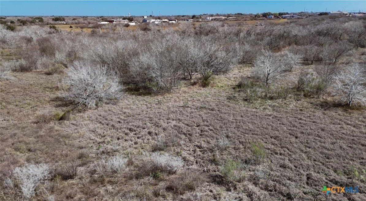 27 acres in Bee County featured view