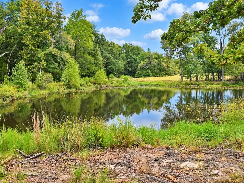 73.65 acres in ANDERSON County - photo 7