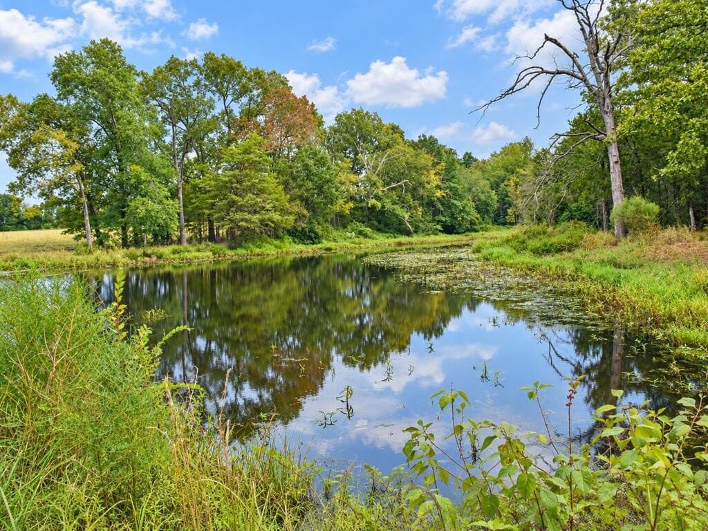73.65 acres in ANDERSON County - photo 9