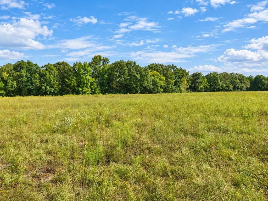 73.65 acres in ANDERSON County - photo 6
