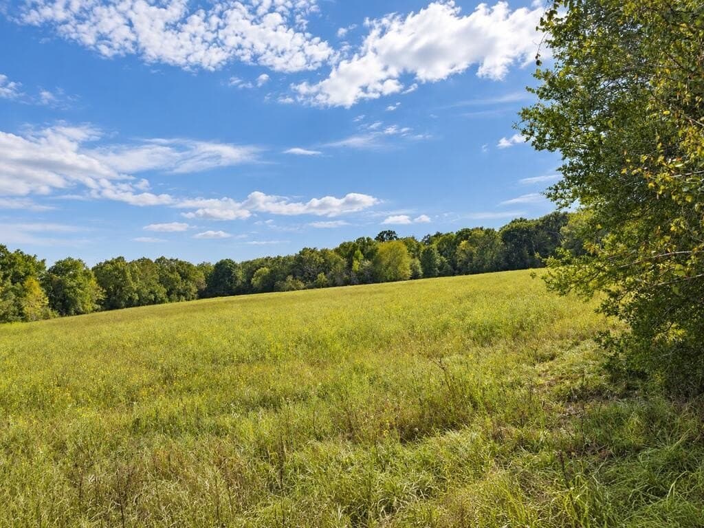 73.65 acres in ANDERSON County - photo 2