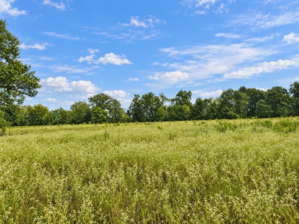 73.65 acres in ANDERSON County - photo 4