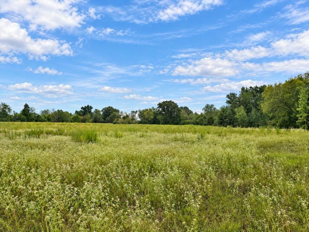 73.65 acres in ANDERSON County - photo 5
