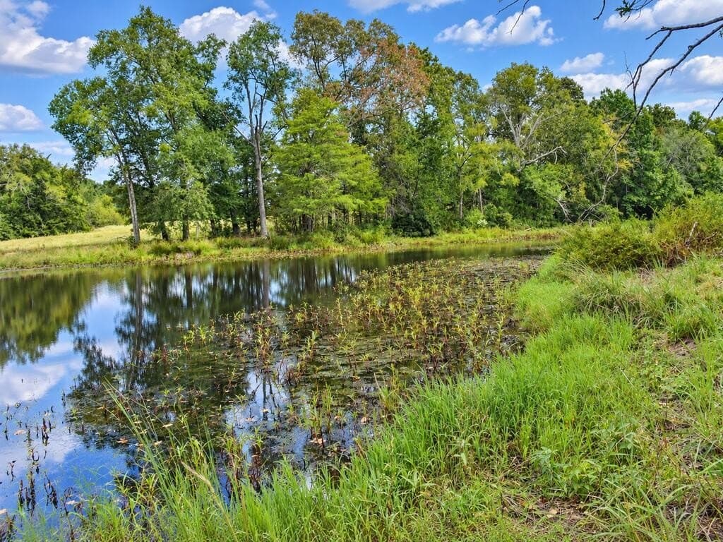 73.65 acres in ANDERSON County - photo 8