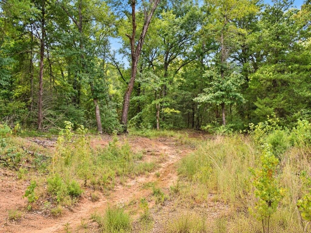 73.65 acres in ANDERSON County - photo 10