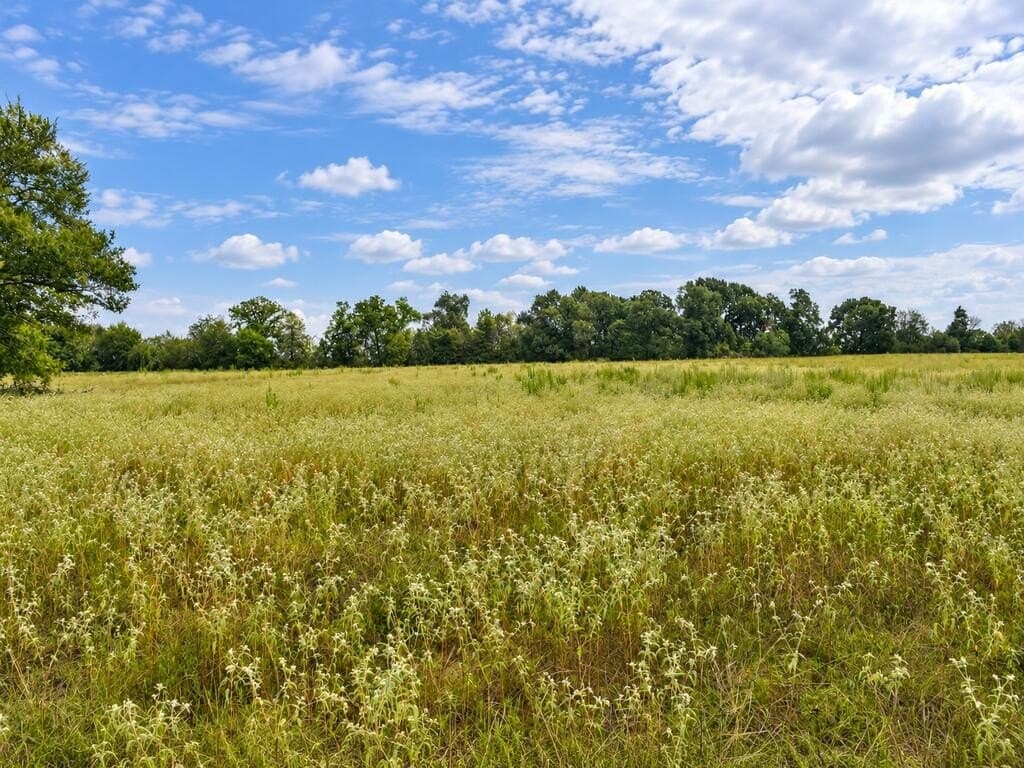 73.65 acres in ANDERSON County - photo 3