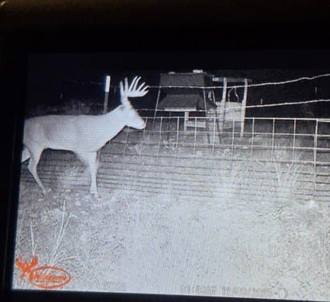 277 acres in Edwards County - photo 35