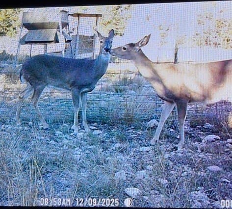 277 acres in Edwards County - photo 34
