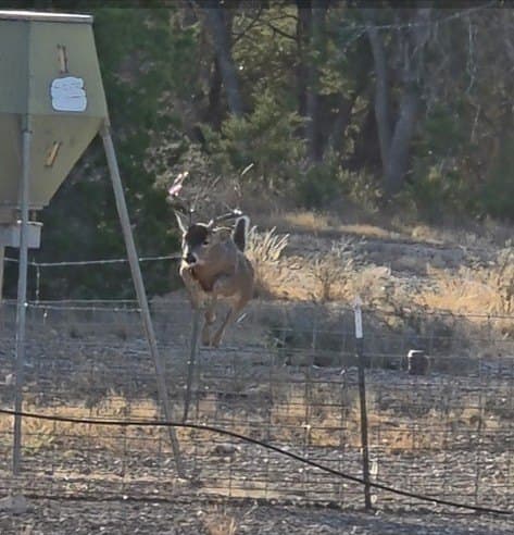 277 acres in Edwards County - photo 22