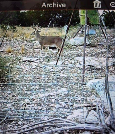 277 acres in Edwards County - photo 33