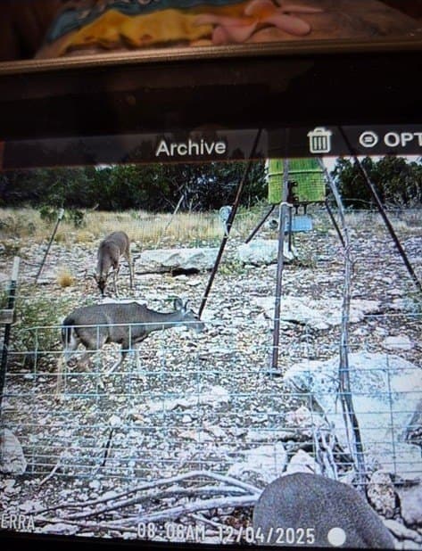 277 acres in Edwards County - photo 32