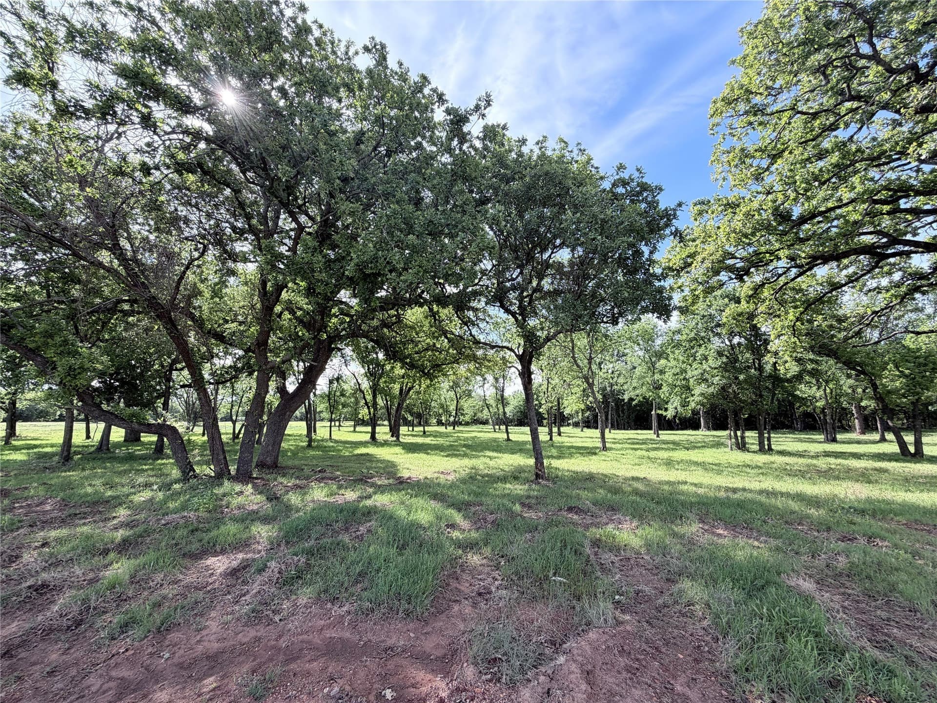 3 acres in Hill County gallery image 2