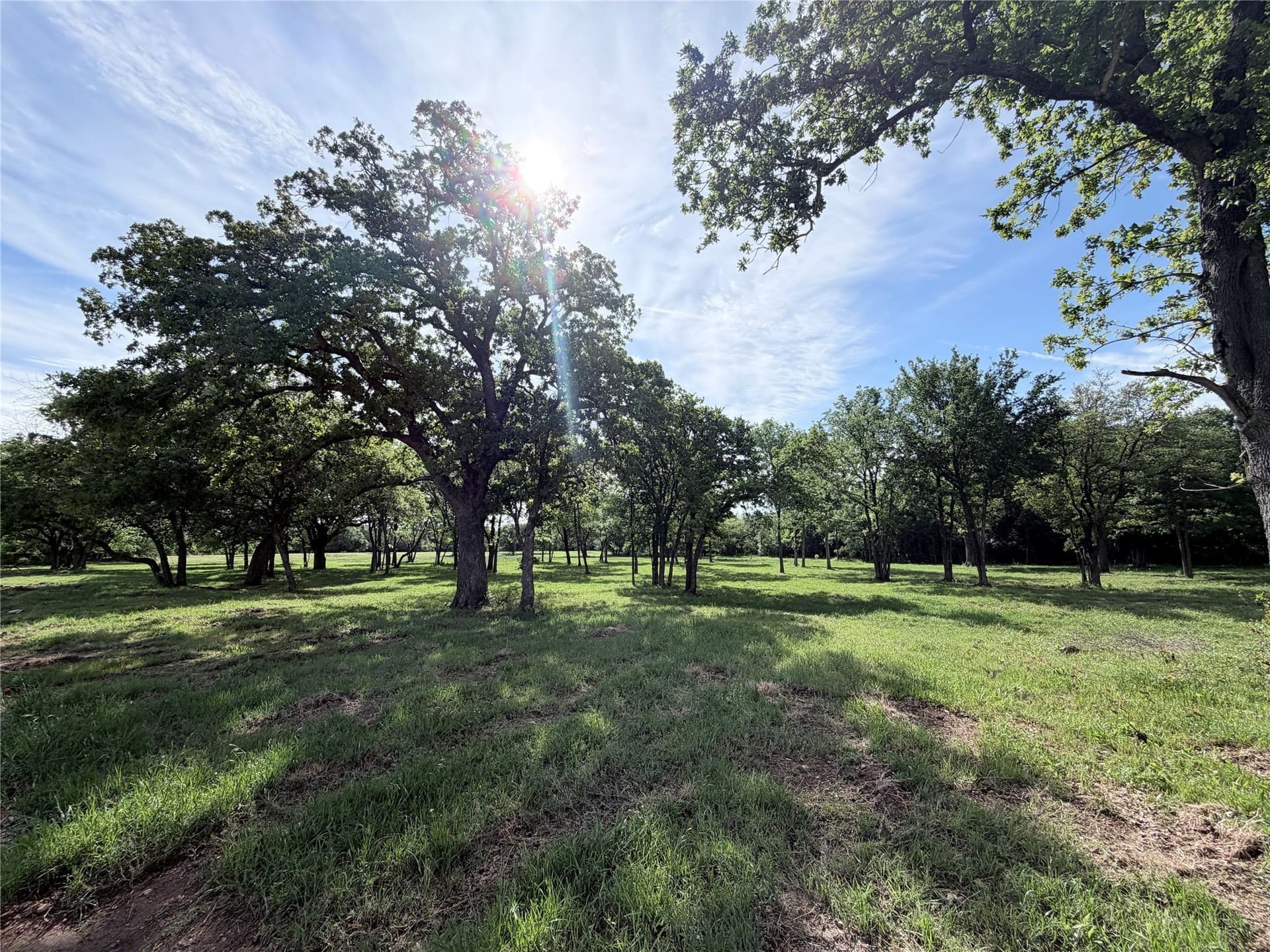 3 acres in Hill County gallery image 3