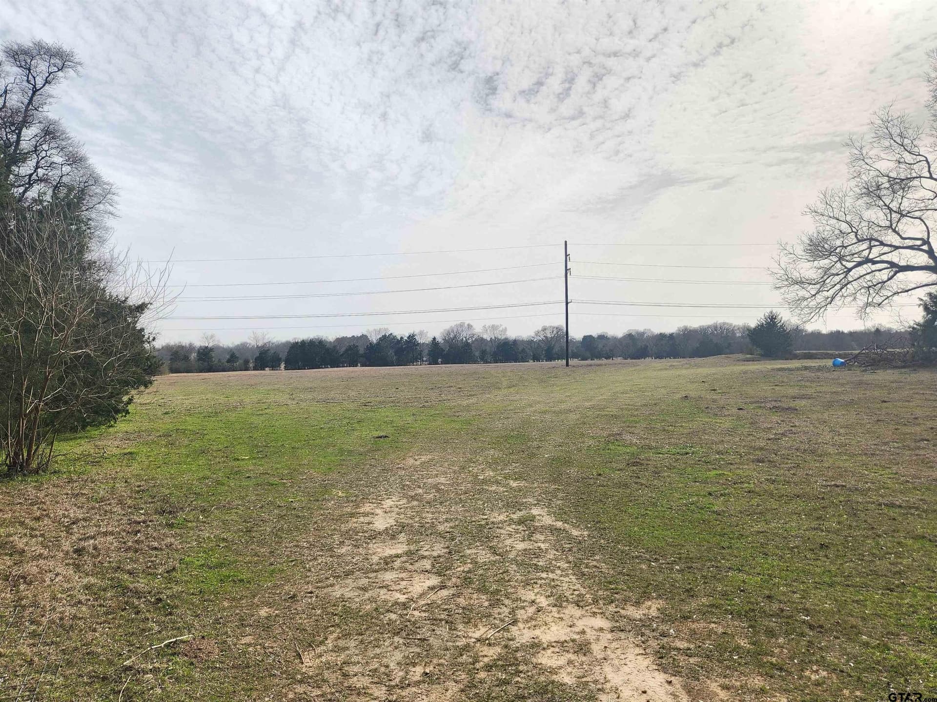 14 acres in Wood County gallery image 2