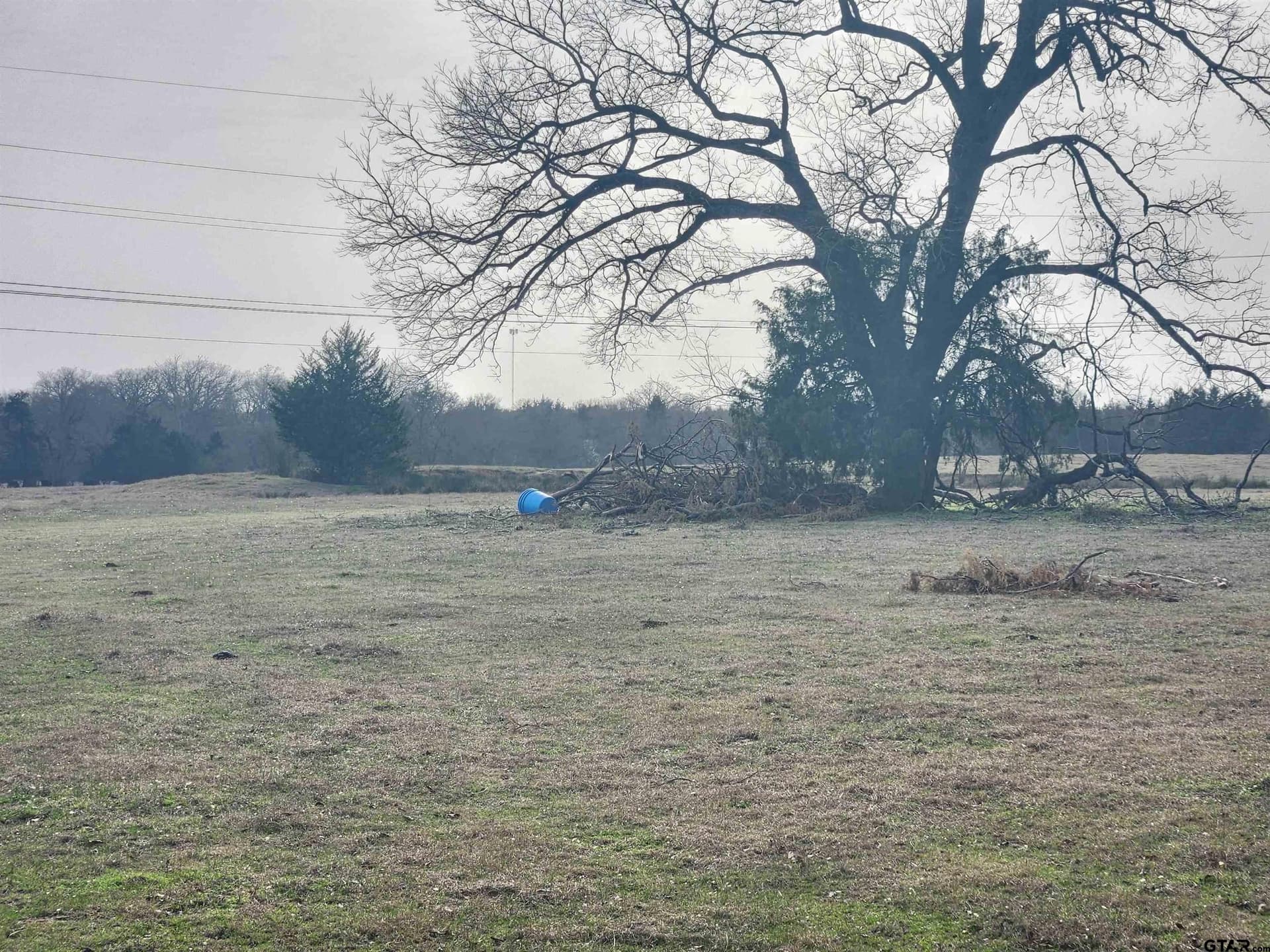 14 acres in Wood County gallery image 4