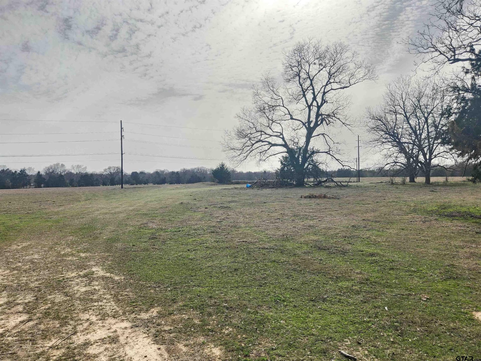 14 acres in Wood County gallery image 3