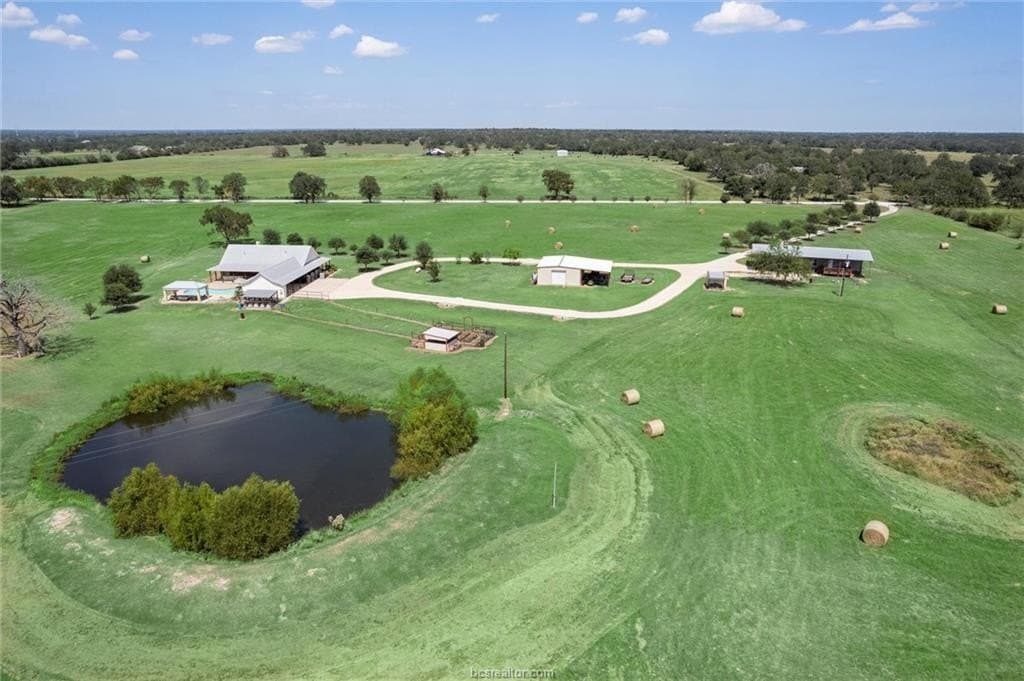 53.26 acres in Grimes County gallery image 4