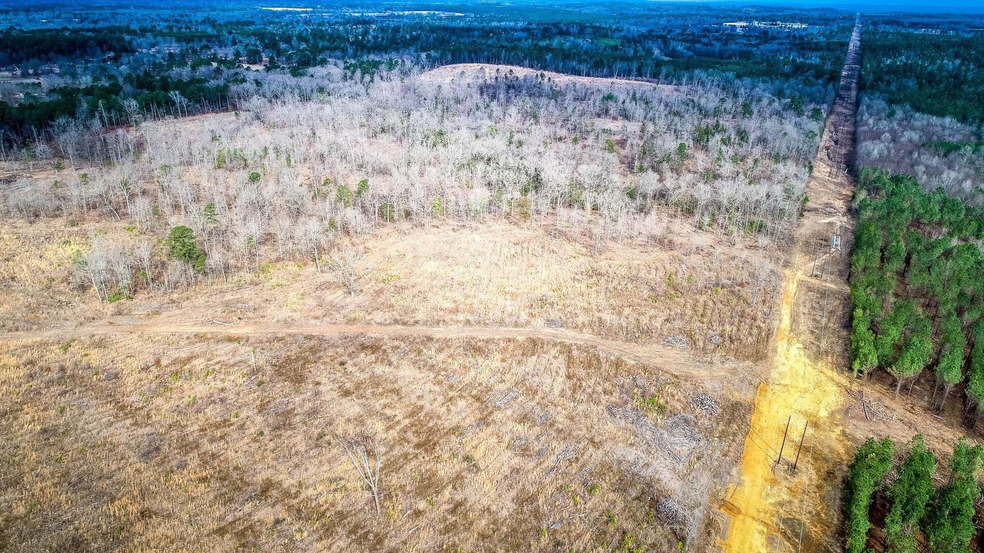 2 acres in Upshur County - photo 10