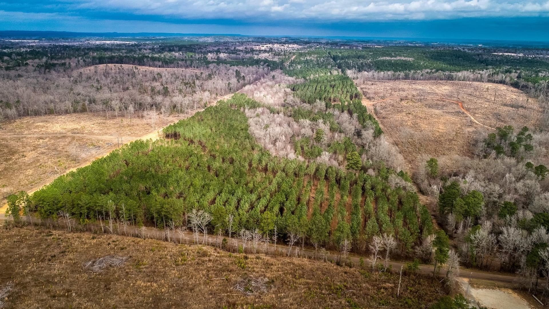 2 acres in Upshur County - photo 17