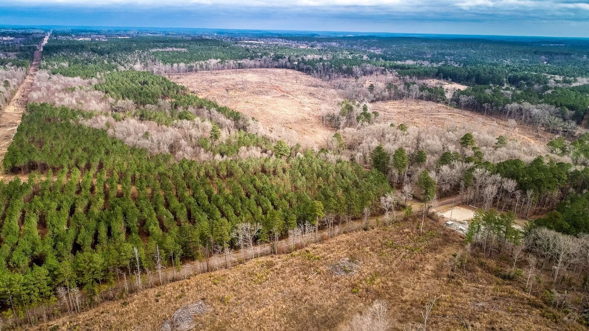 2 acres in Upshur County - photo 12